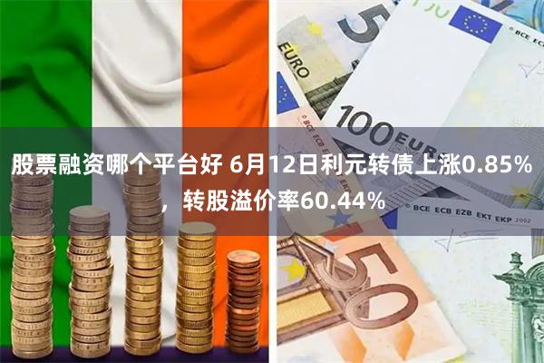 股票融资哪个平台好 6月12日利元转债上涨0.85%，转股溢价率60.44%