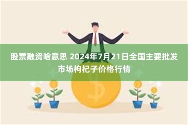 股票融资啥意思 2024年7月21日全国主要批发市场枸杞子价格行情