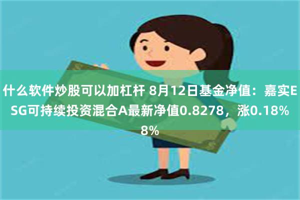 什么软件炒股可以加杠杆 8月12日基金净值：嘉实ESG可持续投资混合A最新净值0.8278，涨0.18%