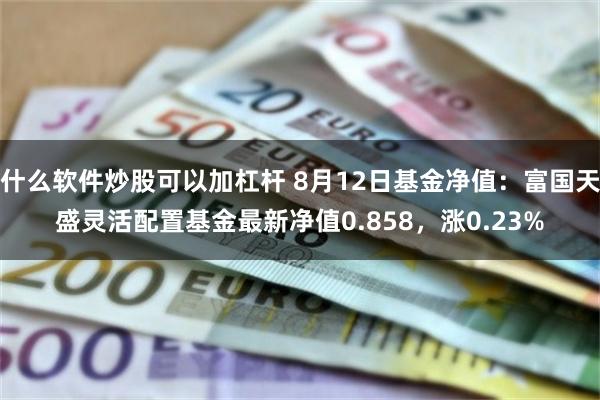 什么软件炒股可以加杠杆 8月12日基金净值：富国天盛灵活配置基金最新净值0.858，涨0.23%