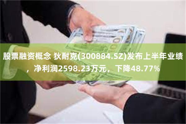 股票融资概念 狄耐克(300884.SZ)发布上半年业绩，净利润2598.23万元，下降48.77%