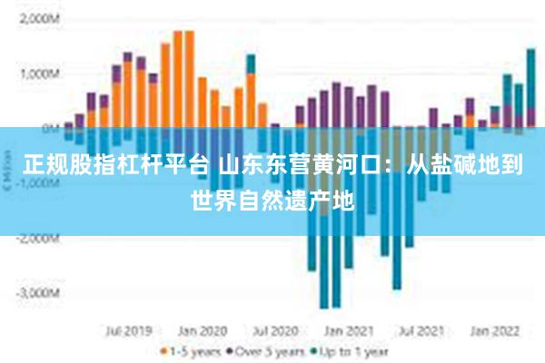 正规股指杠杆平台 山东东营黄河口：从盐碱地到世界自然遗产地