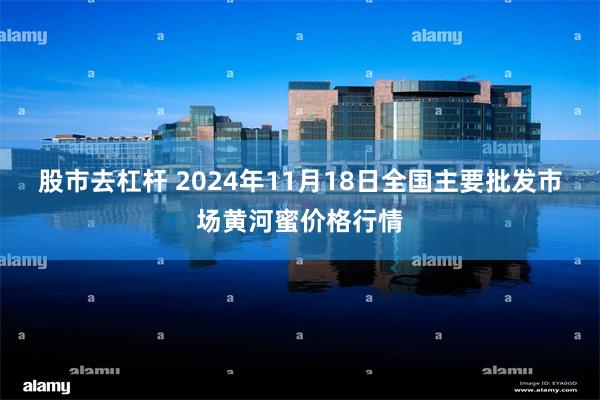 股市去杠杆 2024年11月18日全国主要批发市场黄河蜜价格行情