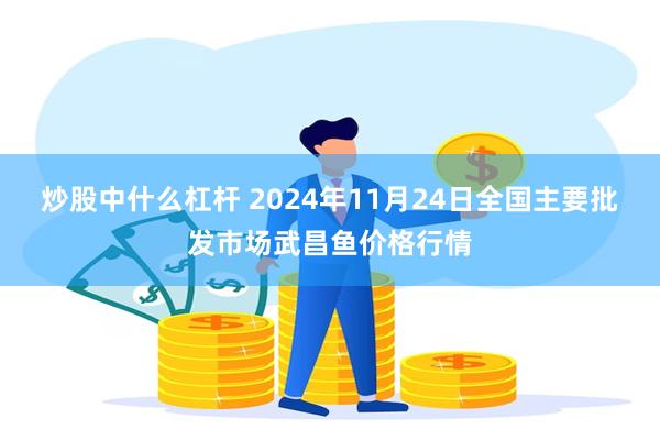 炒股中什么杠杆 2024年11月24日全国主要批发市场武昌鱼价格行情