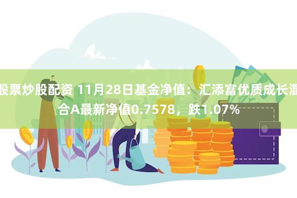 股票炒股配资 11月28日基金净值：汇添富优质成长混合A最新净值0.7578，跌1.07%