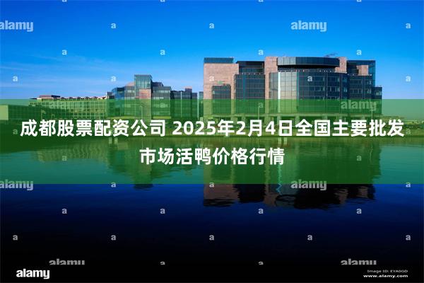 成都股票配资公司 2025年2月4日全国主要批发市场活鸭价格行情