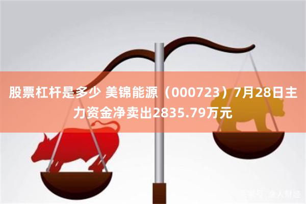 股票杠杆是多少 美锦能源（000723）7月28日主力资金净卖出2835.79万元