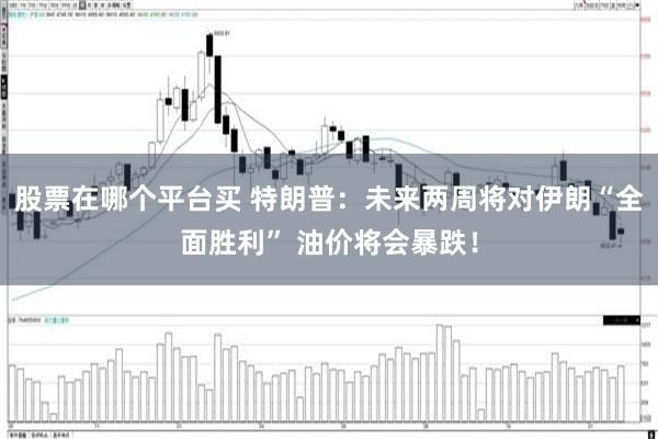 股票在哪个平台买 特朗普：未来两周将对伊朗“全面胜利” 油价将会暴跌！