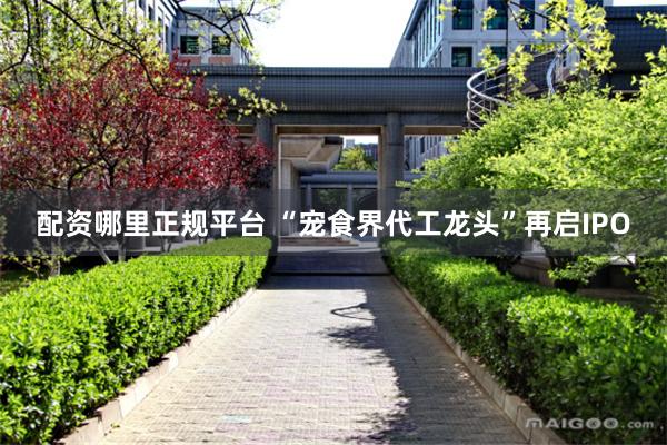 配资哪里正规平台 “宠食界代工龙头”再启IPO