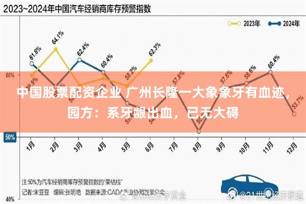 中国股票配资企业 广州长隆一大象象牙有血迹，园方：系牙龈出血，已无大碍