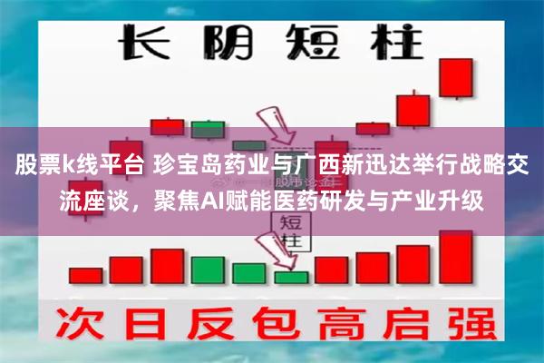 股票k线平台 珍宝岛药业与广西新迅达举行战略交流座谈，聚焦AI赋能医药研发与产业升级