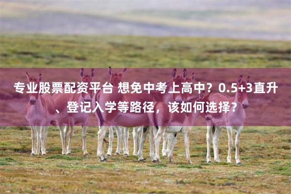 专业股票配资平台 想免中考上高中？0.5+3直升、登记入学等路径，该如何选择？