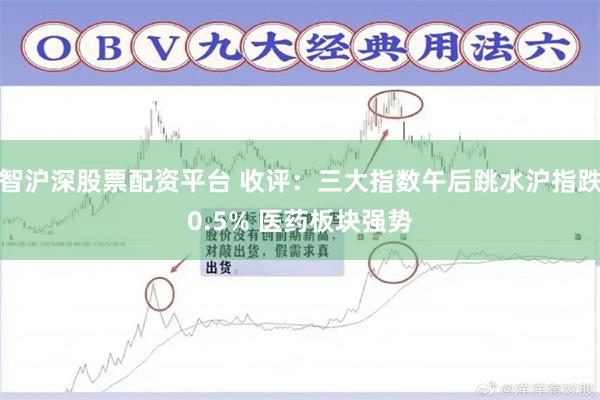 智沪深股票配资平台 收评：三大指数午后跳水沪指跌0.5% 医药板块强势