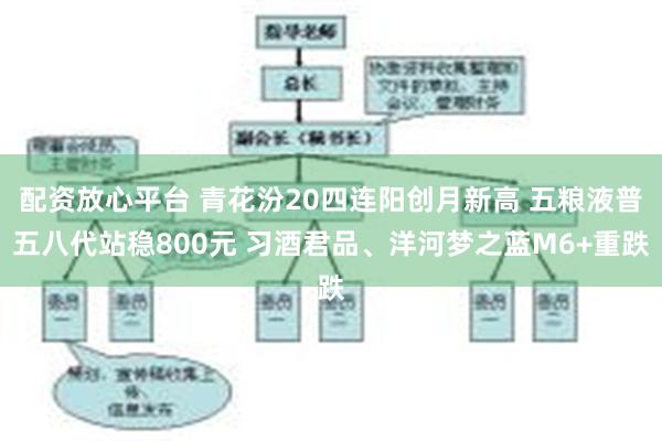 配资放心平台 青花汾20四连阳创月新高 五粮液普五八代站稳800元 习酒君品、洋河梦之蓝M6+重跌